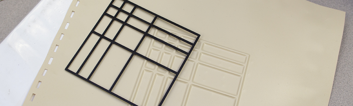 Thermoform Tactile Graphic